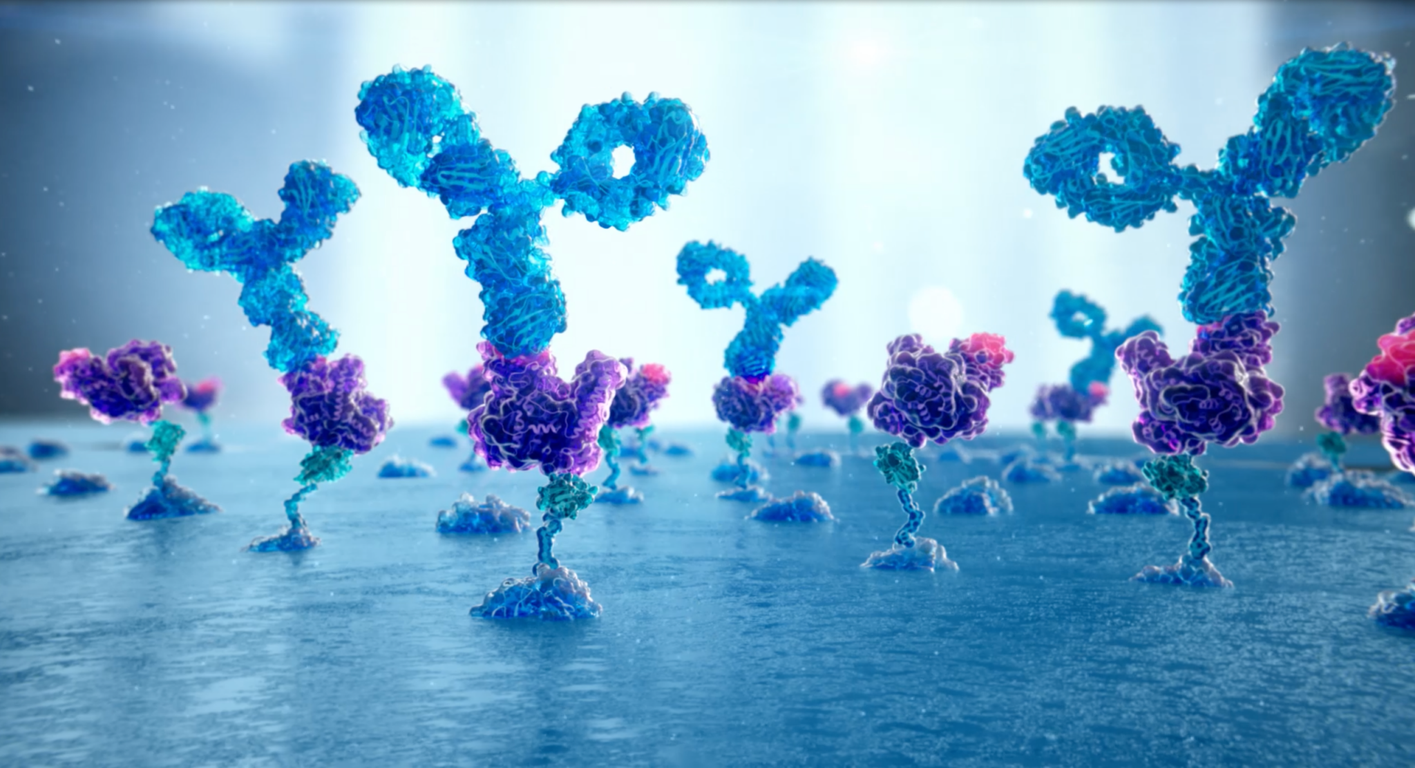 3D rendering of antibodies bind molecules on a sensor chip, created by copyright © Thom Leach, SayoStudio 