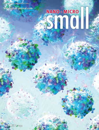 Journal cover art for the small nano micro publication showing Morteza Mahmoudi's research on nanoparticles. © SayoStudio