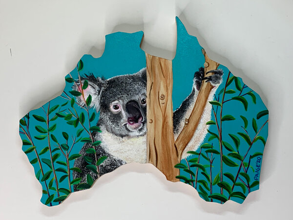 Koala-1web.jpg