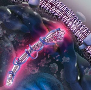 How to Find a Visual Science Communicator, Nanotube at the cell membrane illustration by Nicolle R. Fuller, SayoStudio