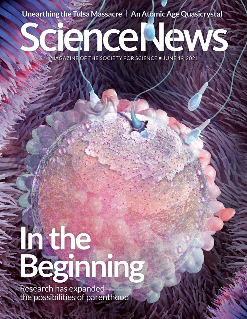 Science magazine cover art of reproductive health, showing sperm entering egg by Nicolle R. Fuller SayoStudio