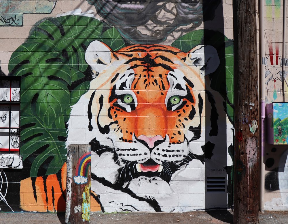 Image of Bengal tiger head mural in Pocatello, Idaho.