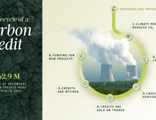 Climate Tech Infographics That Build Trust Through Clarity