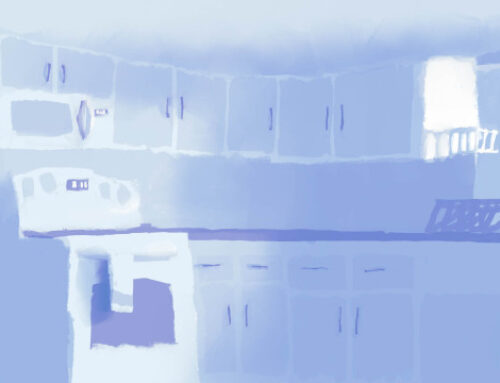 snow day morning / blizzard…