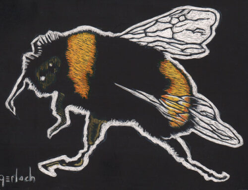 Recent Scratchboards With Color