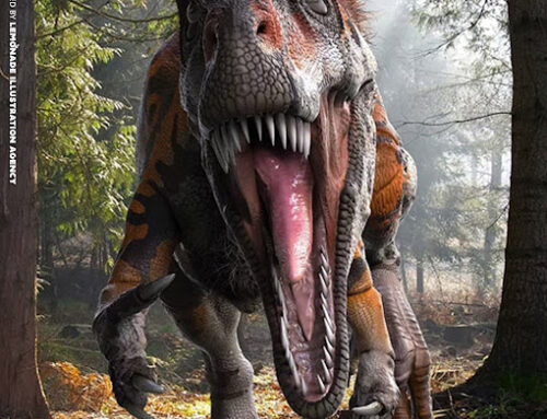 PETER MINISTER JOINS THE LEMONADE…