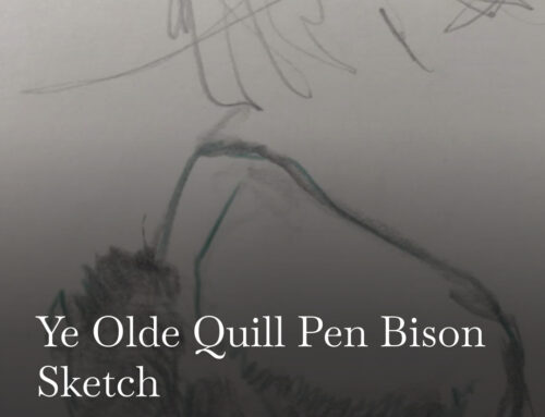 Quill Pen Bison Sketch
