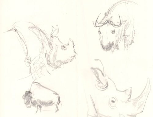 Sketches From The Wilds