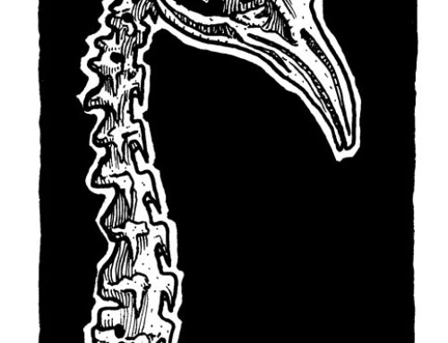 Inktober 2026 Day 18: Flightless