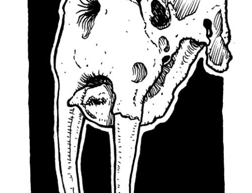 Inktober 2026 Day 29: Tusk